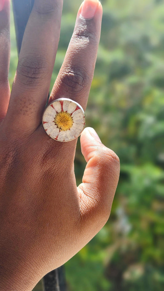 Real Floral Ring | Real Daisy Flower Ring | Elnorah Jewellery