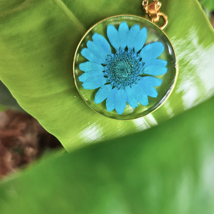 Blue Daisy Necklace | Real Flower Jewellery