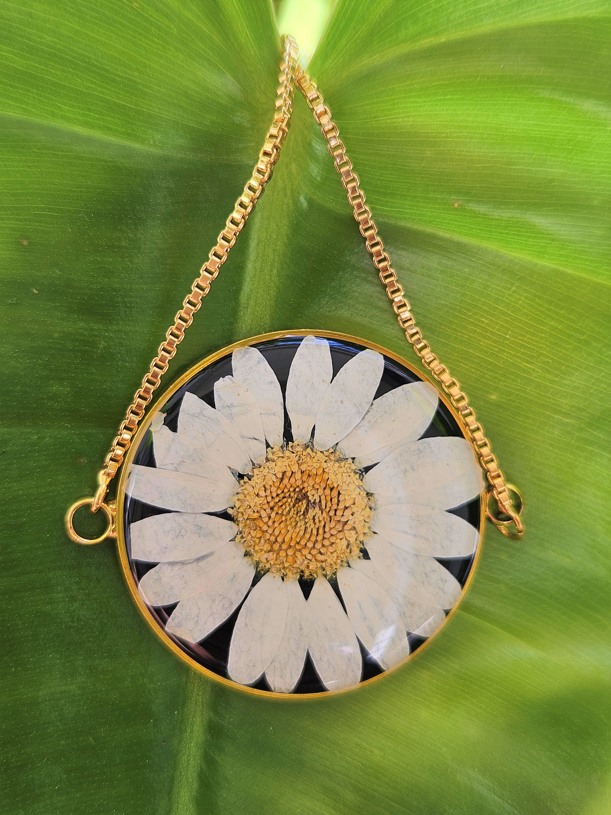 Classique Noir Daisy Bracelet | Real Flower Jewellery