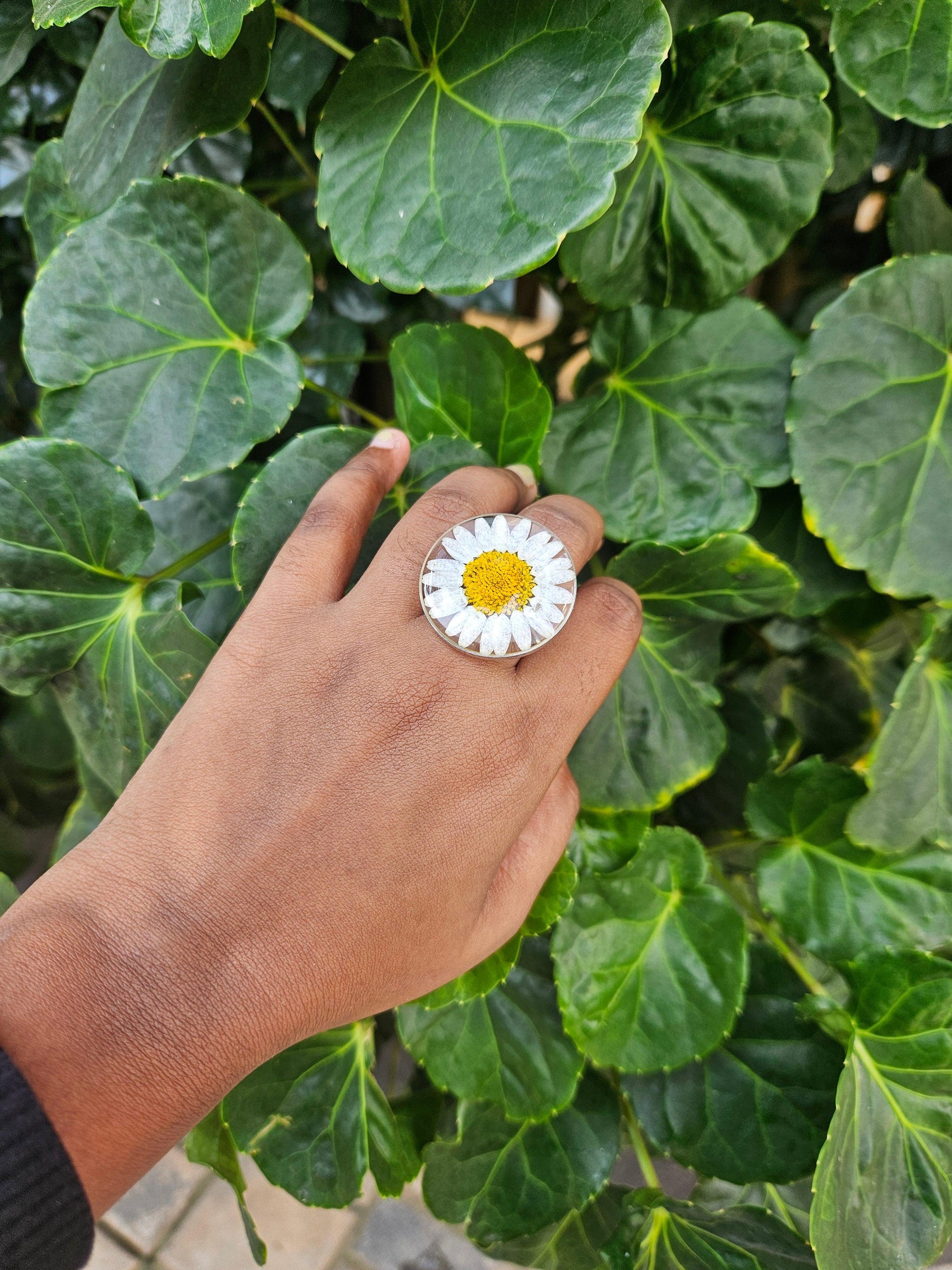 Daisy Ring | Gifts for Women | Ring | Real Flower Jewellery for Women | Elnorah