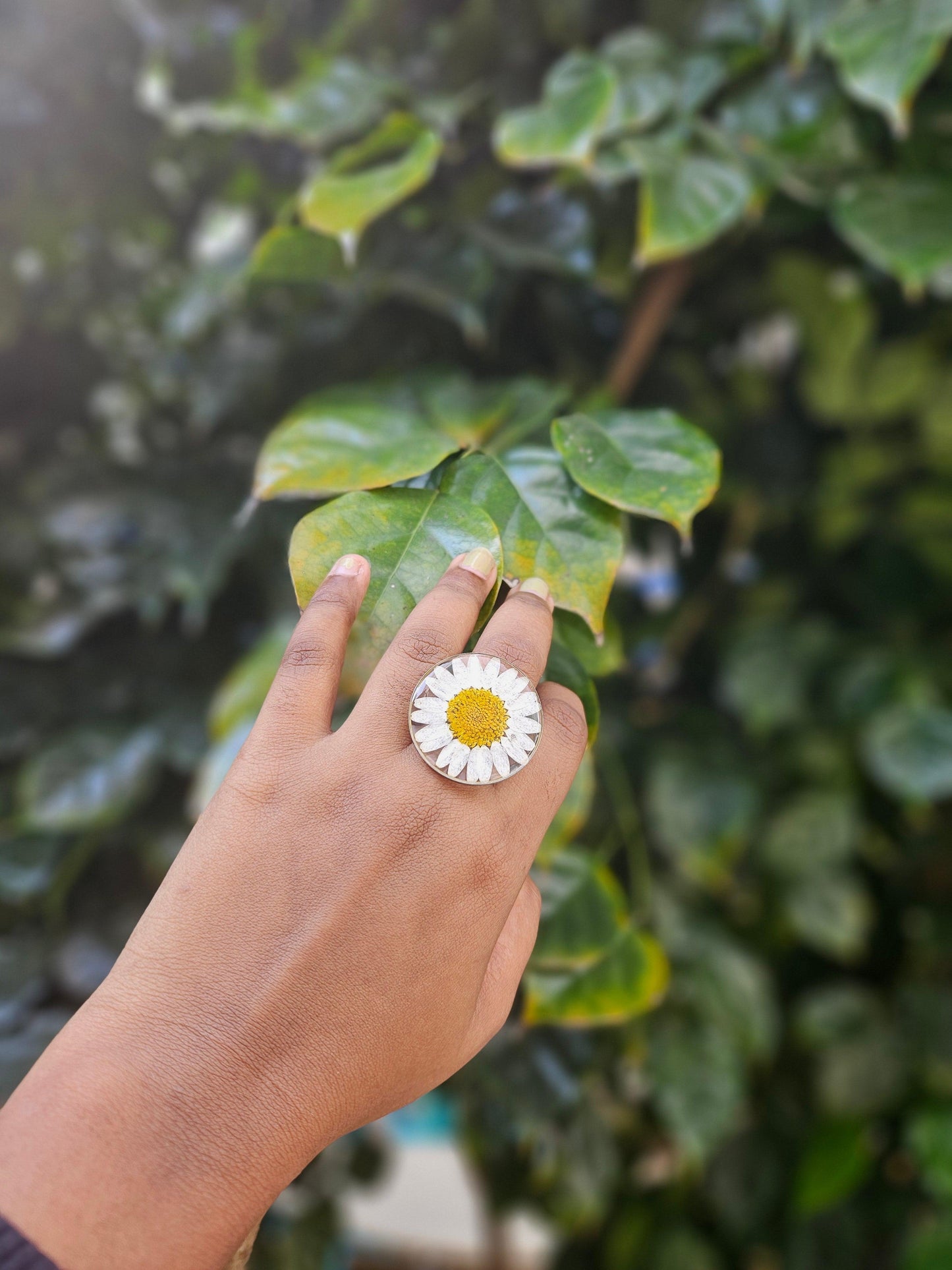 Daisy Ring | Gifts for Women | Ring | Real Flower Jewellery for Women | Elnorah