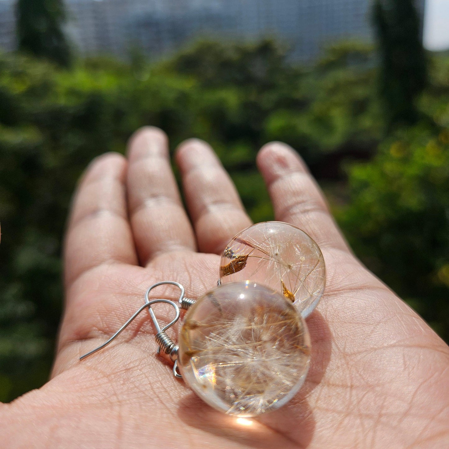 Dandelion Earrings | Real Flower Jewellery | Elnorah Jewellery | Real Dandelion