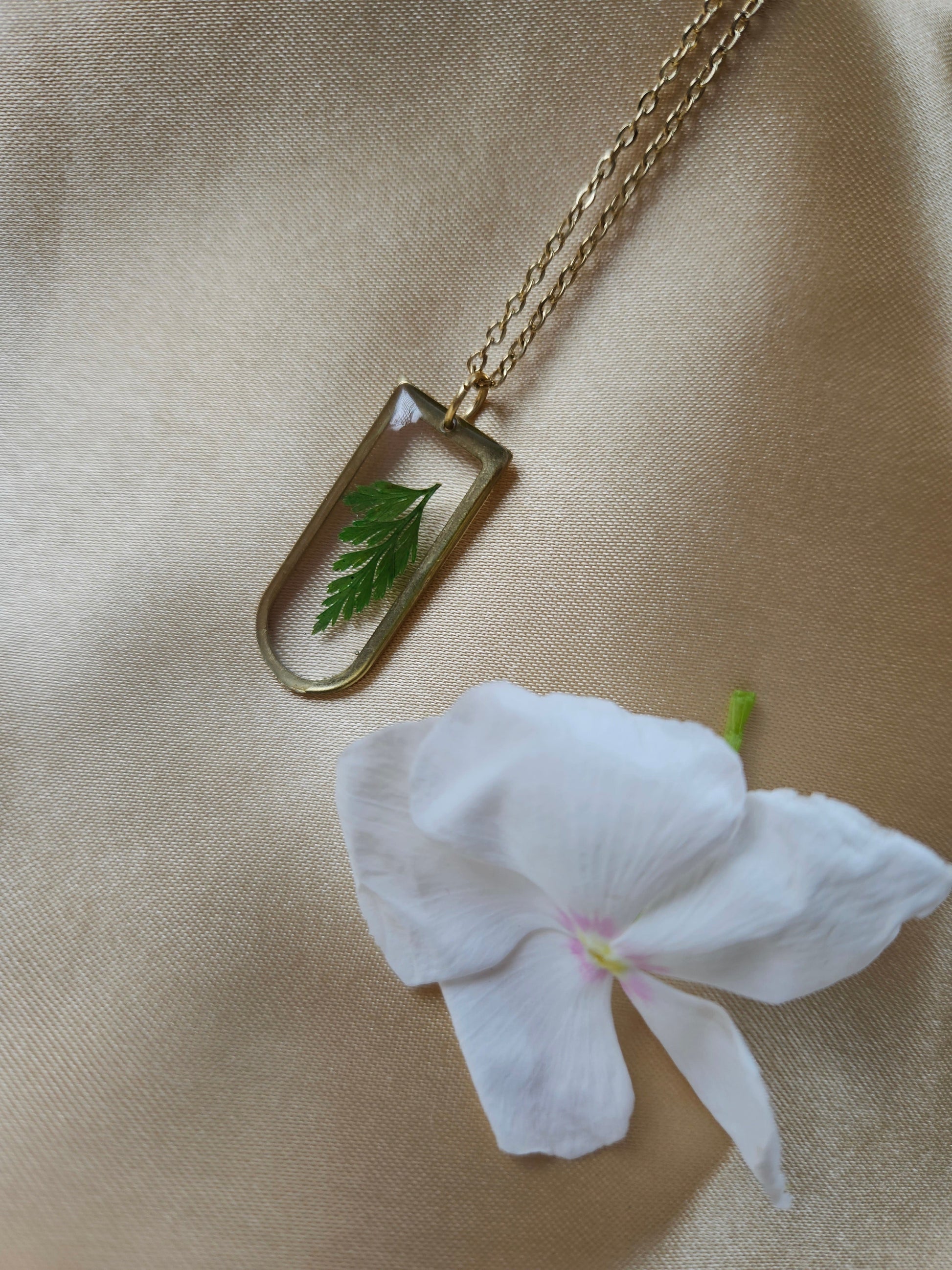 fern pendant with gold rim | Fern Pendant | Fern Necklace | Real Flower Jewellery | Elnorah Jewellery