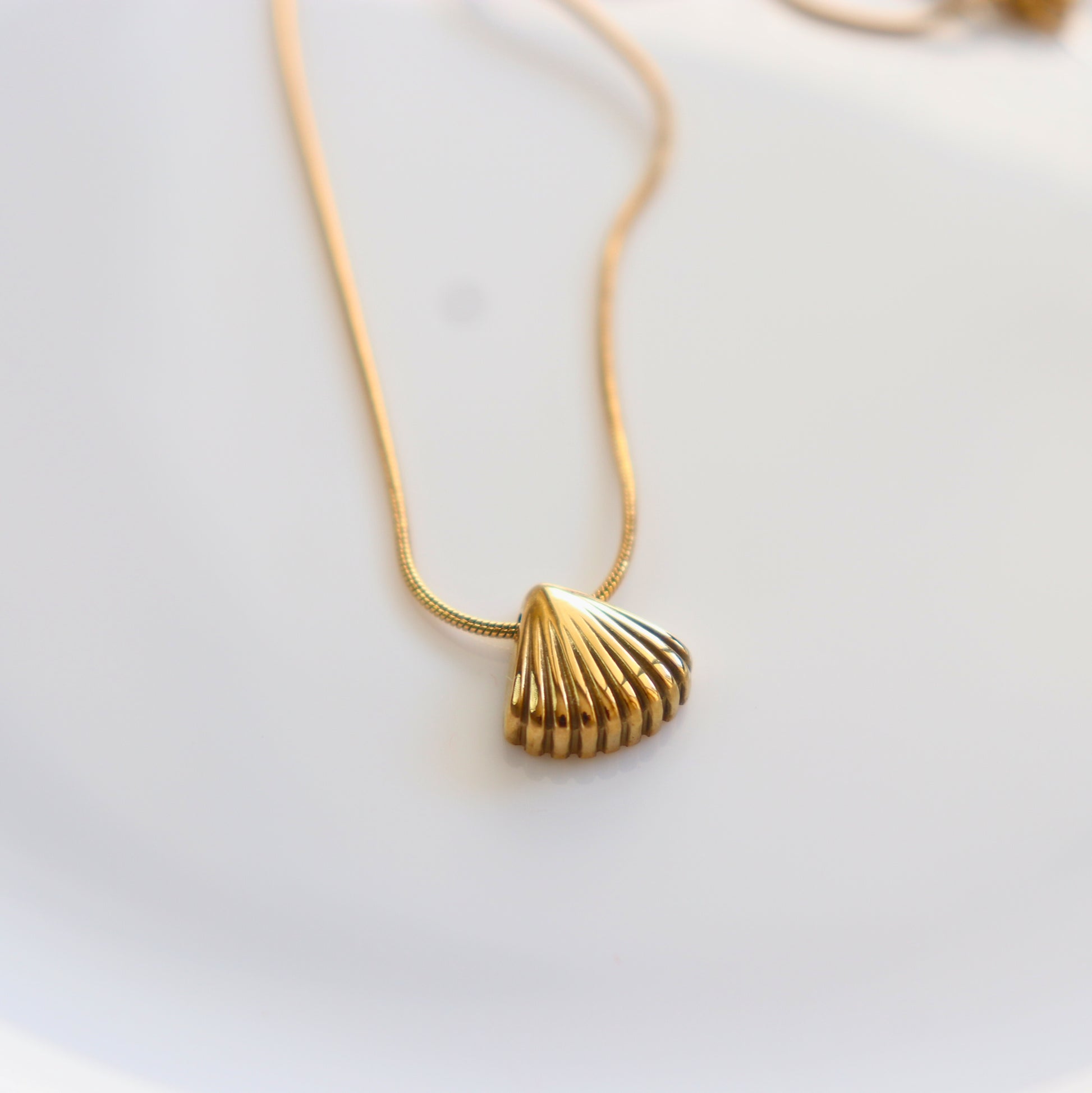 Golden Shell Pendant | Waterproof Stainless Steel Necklace for Women | 18K PVD Gold Plating