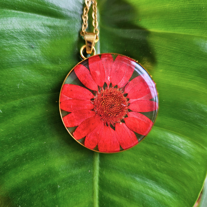 Red Daisy Necklace | Real Flower Jewellery