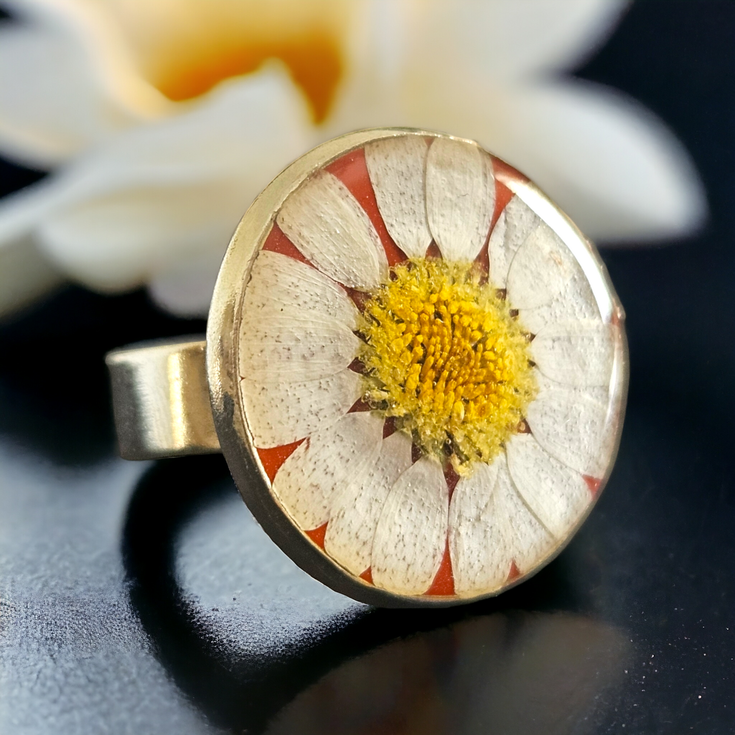 Red Daisy Ring | Real Flower Jewellery | Elnorah Jewellery | Daisy Ring