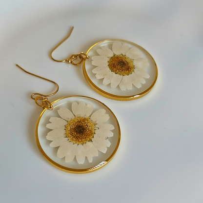 White Daisy Earrings | Real Flower Jewellery | Daisy Earrings | Elnorah Jewellery