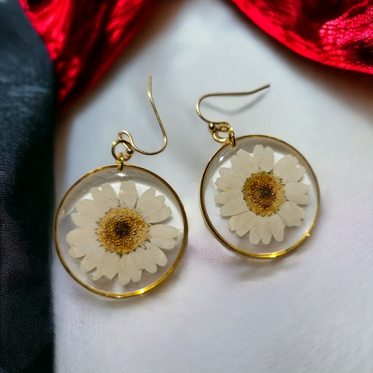 White Daisy Earrings | Real Flower Jewellery | Daisy Earrings | Elnorah Jewellery