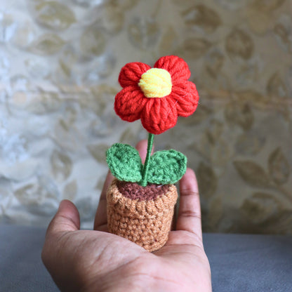 Crimson Bloom Crochet Pot - Red Daisy Decor