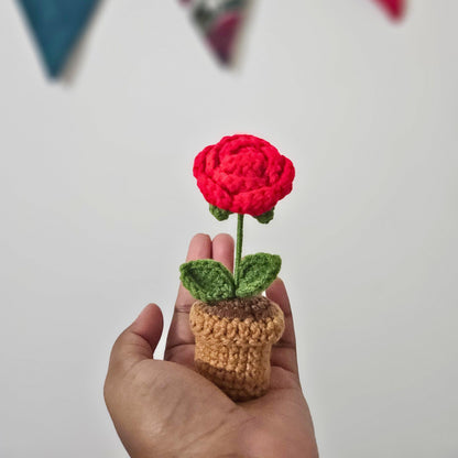 Eternal Rose Crochet Flower Pot | Valentines day gift | Gifts for her