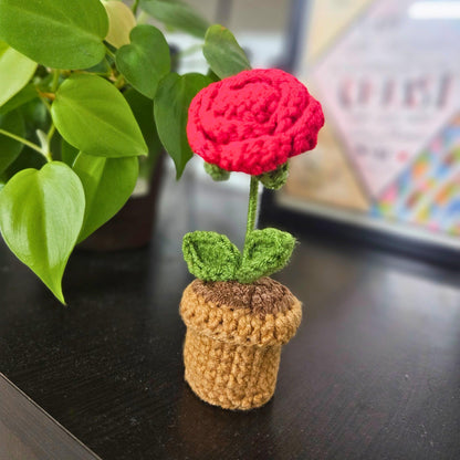 Eternal Rose Crochet Flower Pot | Valentines day gift | Gifts for her